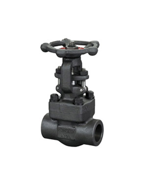 Forged steel gate valve
